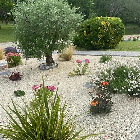 Les Pins Perdus Bed and Breakfast Saint-Ciers-d'Abzac