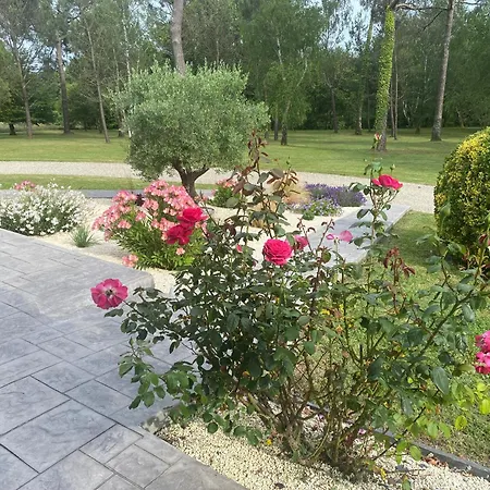 Bed and Breakfast Les Pins Perdus Saint-Ciers-d'Abzac