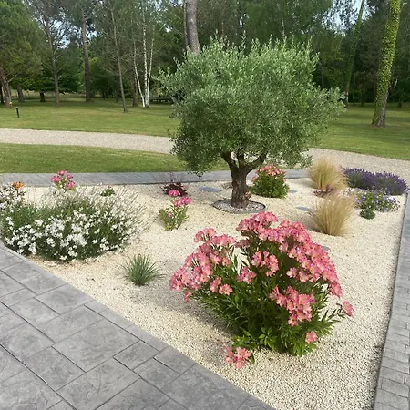 Les Pins Perdus Bed and Breakfast 3*