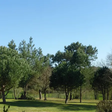 Bed and Breakfast Les Pins Perdus Saint-Ciers-d'Abzac
