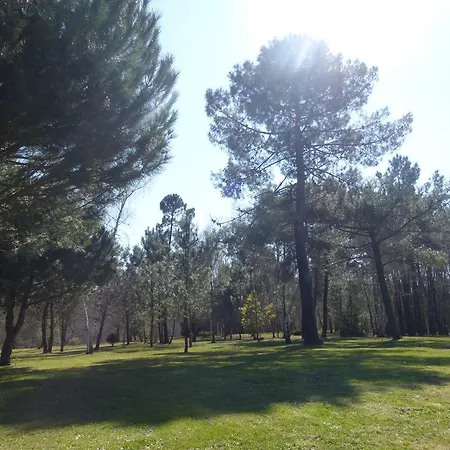 Les Pins Perdus 3* Saint-Ciers-d'Abzac