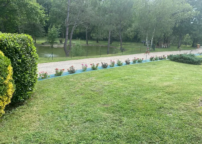 Les Pins Perdus Saint-Ciers-d'Abzac