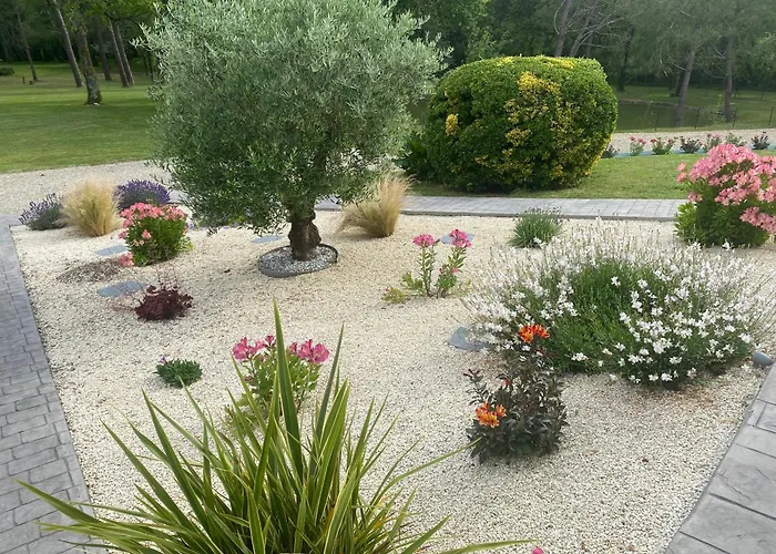 Les Pins Perdus Отель типа 