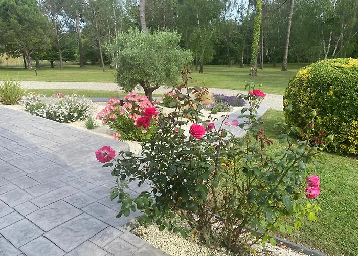 Bed & Breakfast Les Pins Perdus Saint-Ciers-d'Abzac