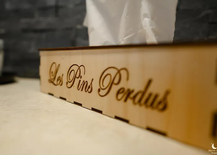 Bed & Breakfast Les Pins Perdus Saint-Ciers-d'Abzac