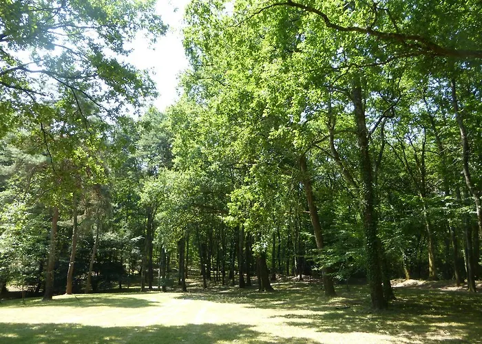 Bed & Breakfast Les Pins Perdus 3*