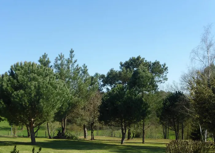 Bed & Breakfast Les Pins Perdus Saint-Ciers-d'Abzac