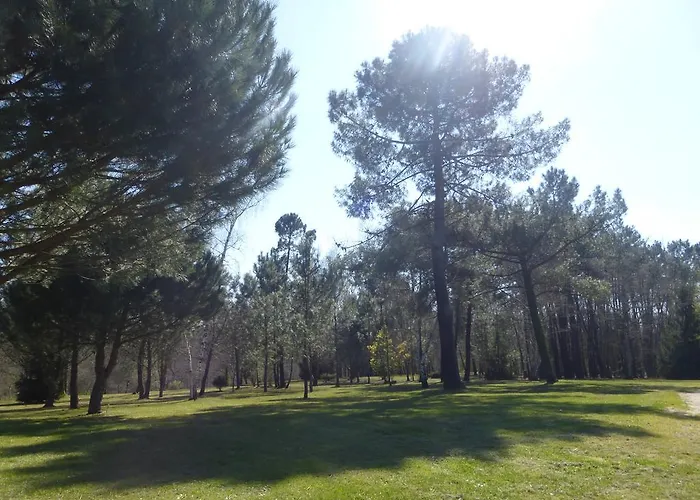Les Pins Perdus 3* Saint-Ciers-d'Abzac